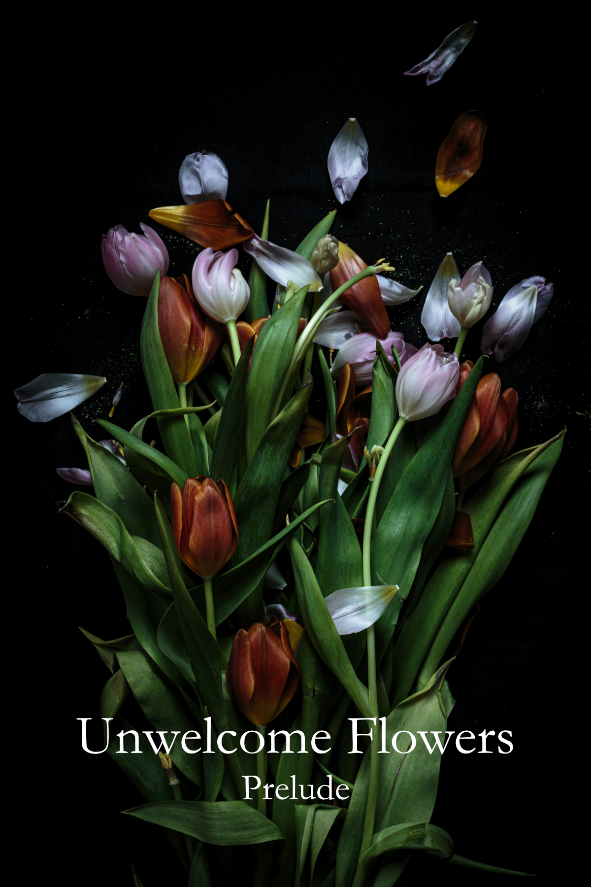 affichebeeld Hannes Couvreur Unwelcome Flowers