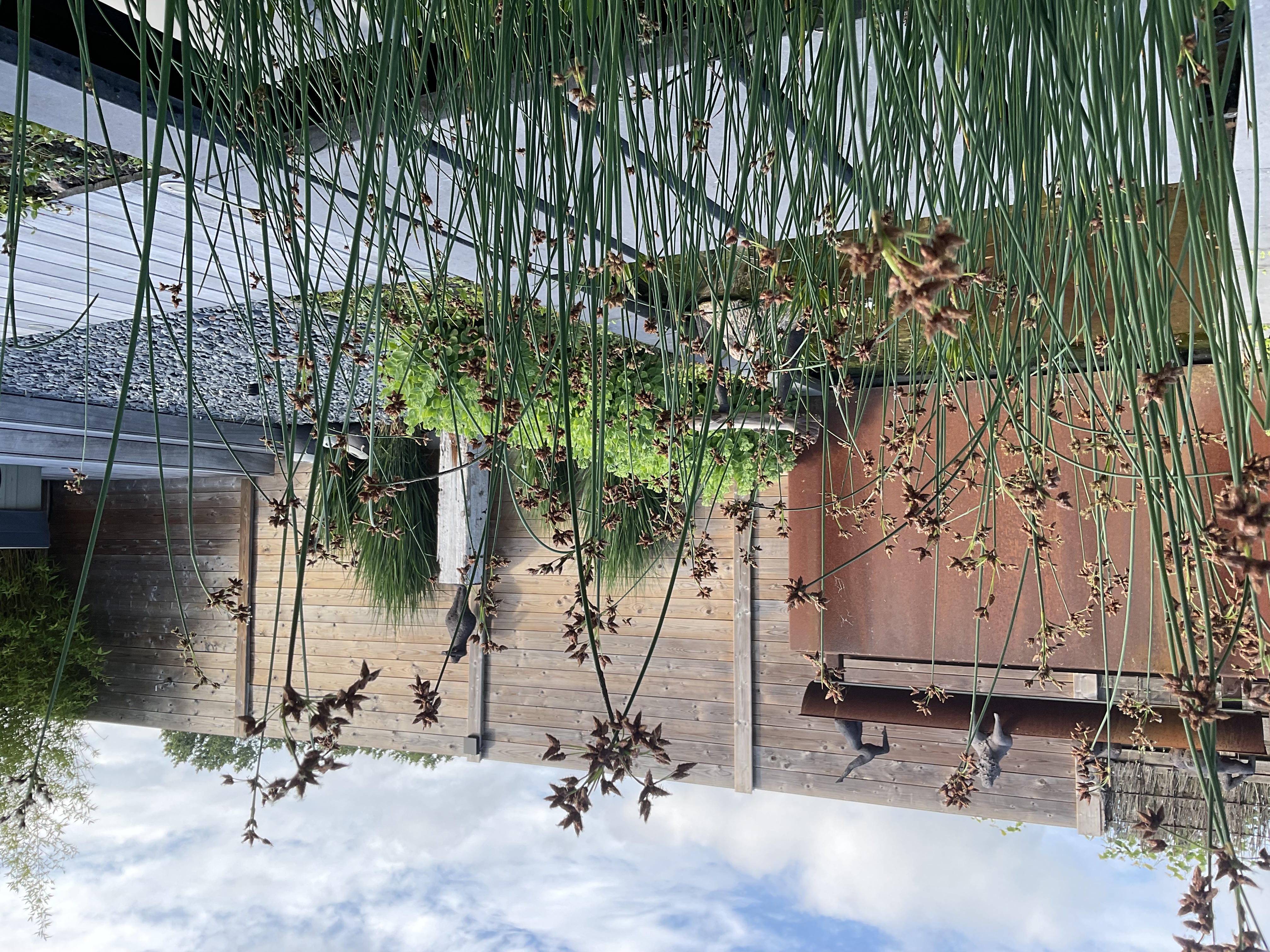 Strakke tuin met keramische beelden en decoratie 