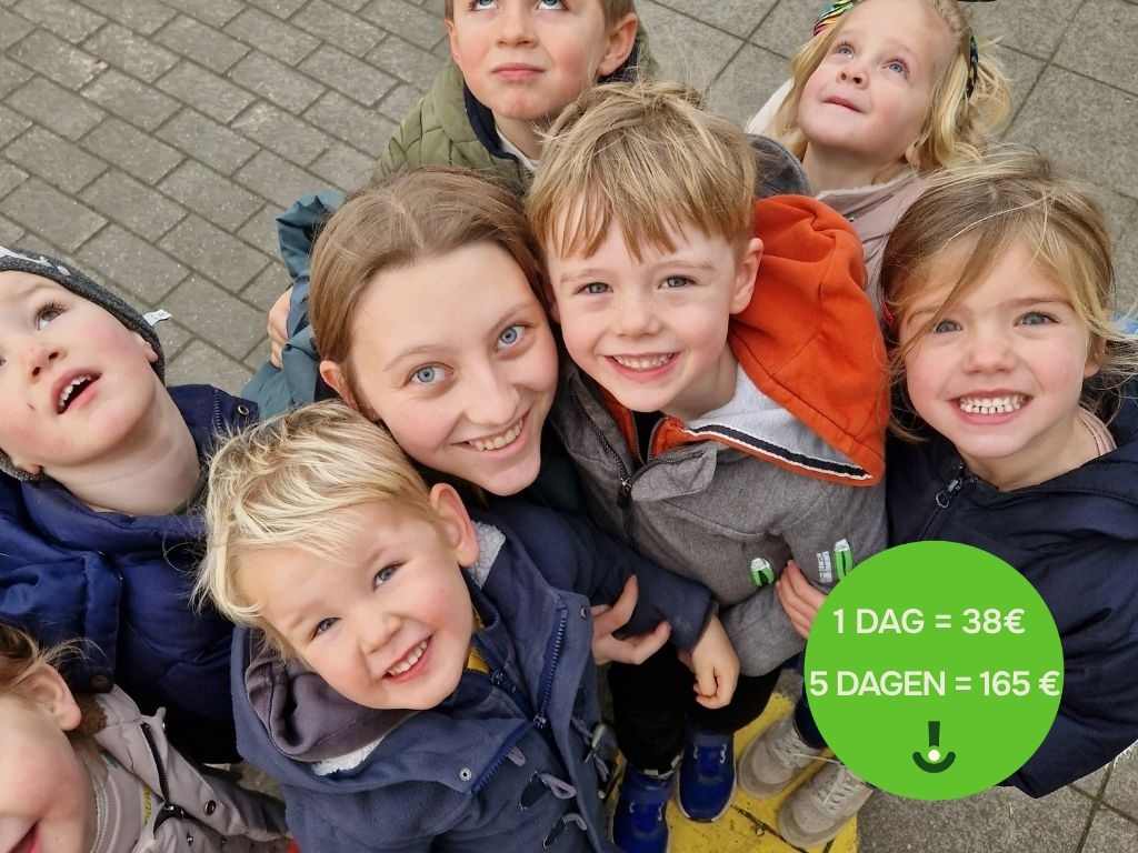 Het geheim van de elfen