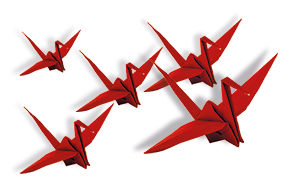 Evenwicht in Beweging