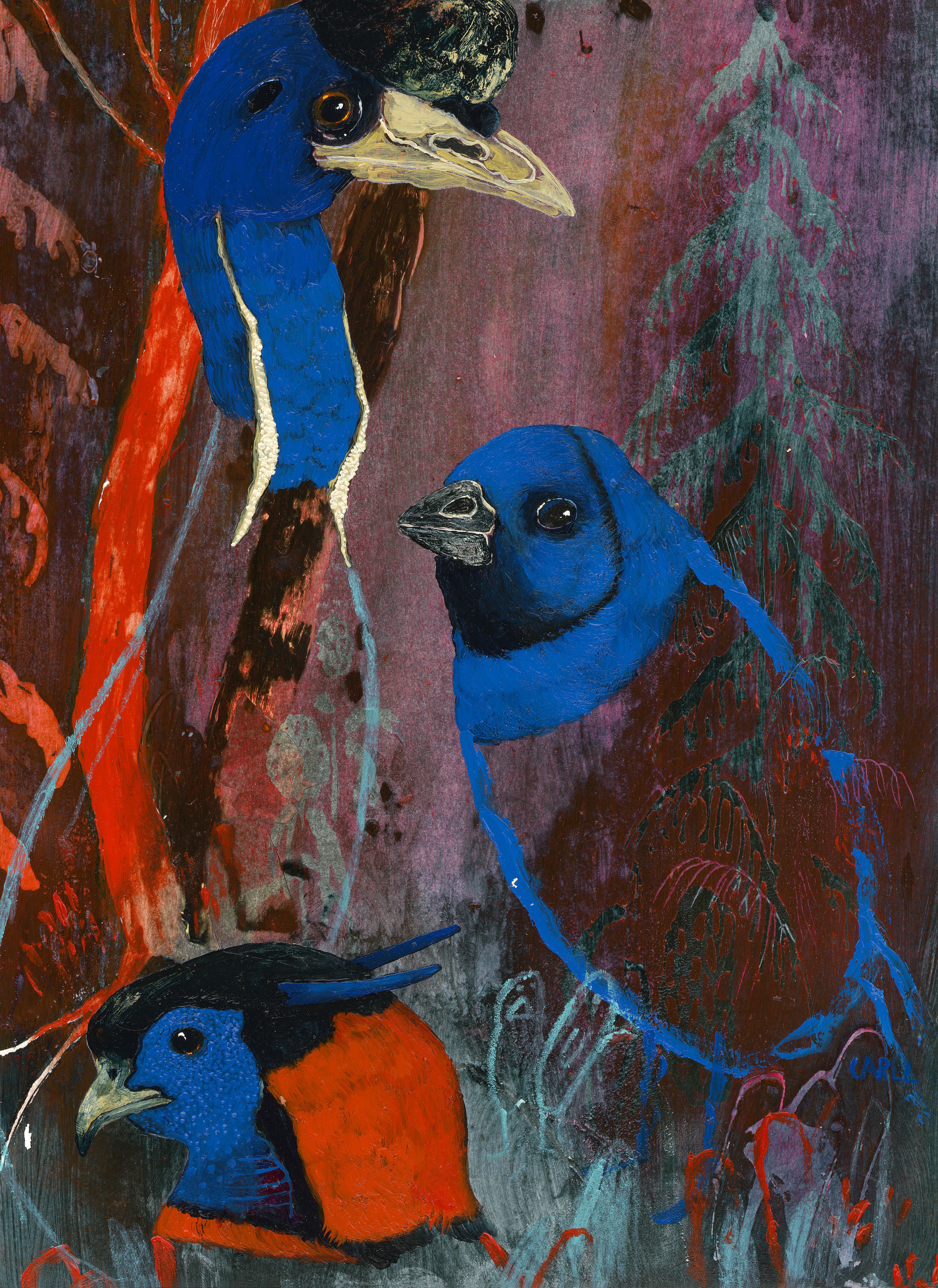 "Blue que nous connaissions" - Carll Cneut