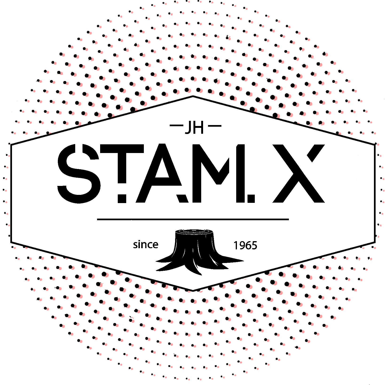Logo Stam X