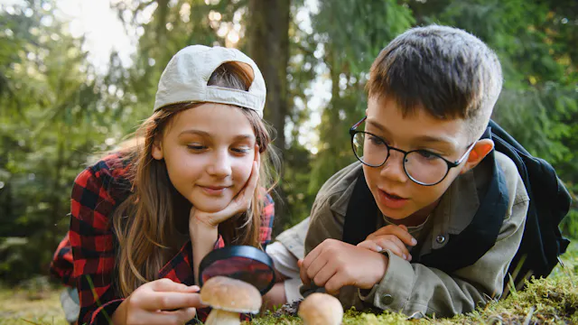 Paddenstoelenwandeling