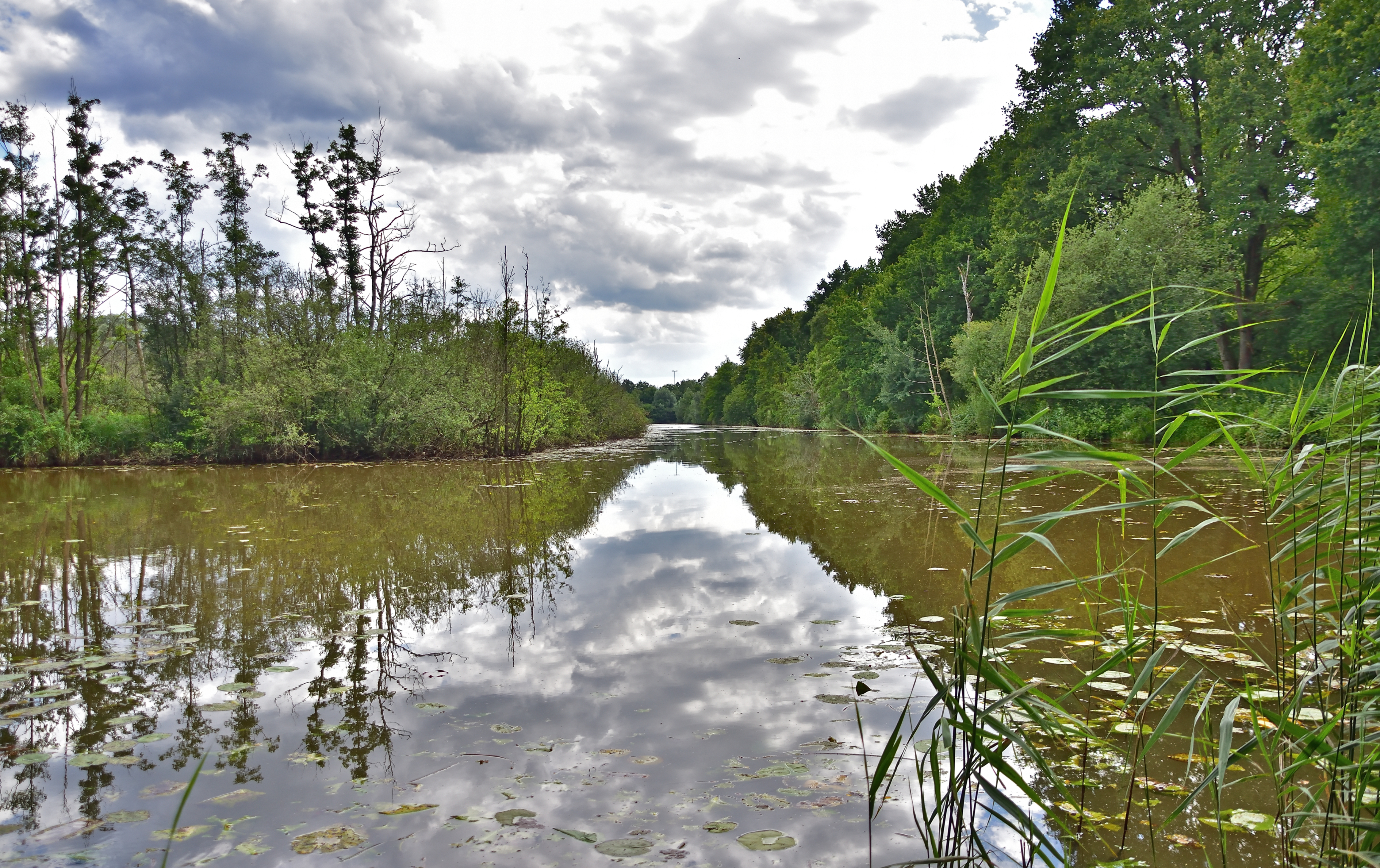 Laambroekvijvers Kolveren