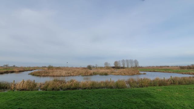 Natuurpunt