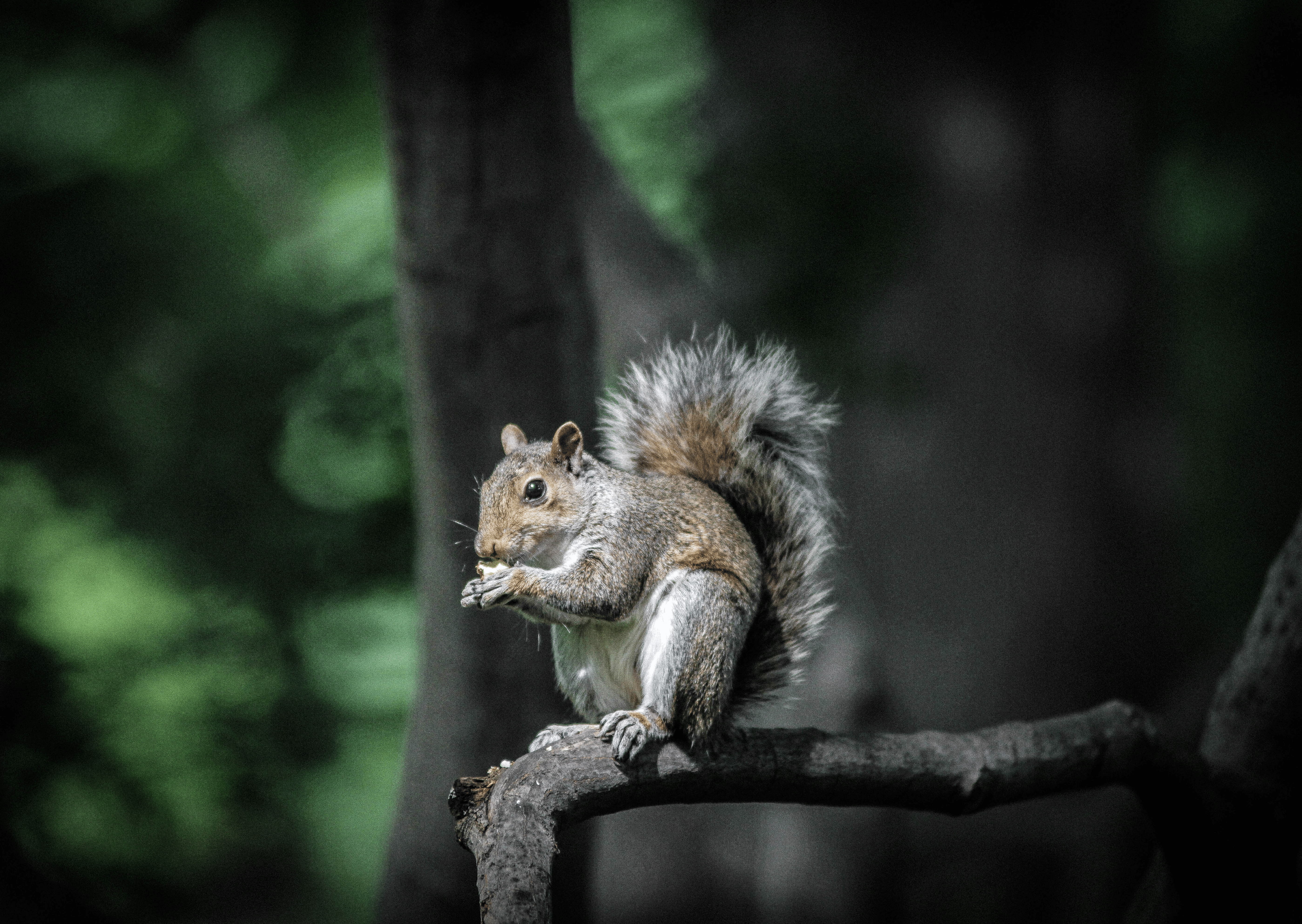 Wakker? Winterrust? Of Winterslaap?