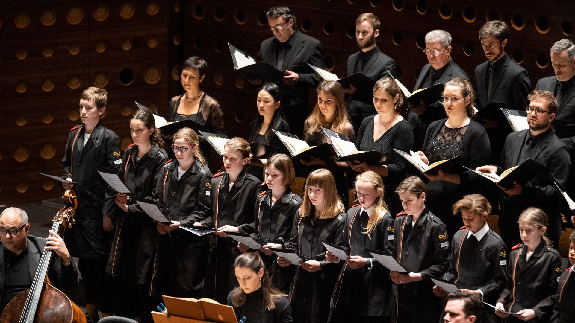 De Mattheuspassie van Bach - Laurence Cummings, Joshua Ellicott, Matthew Brook, Carolyn S