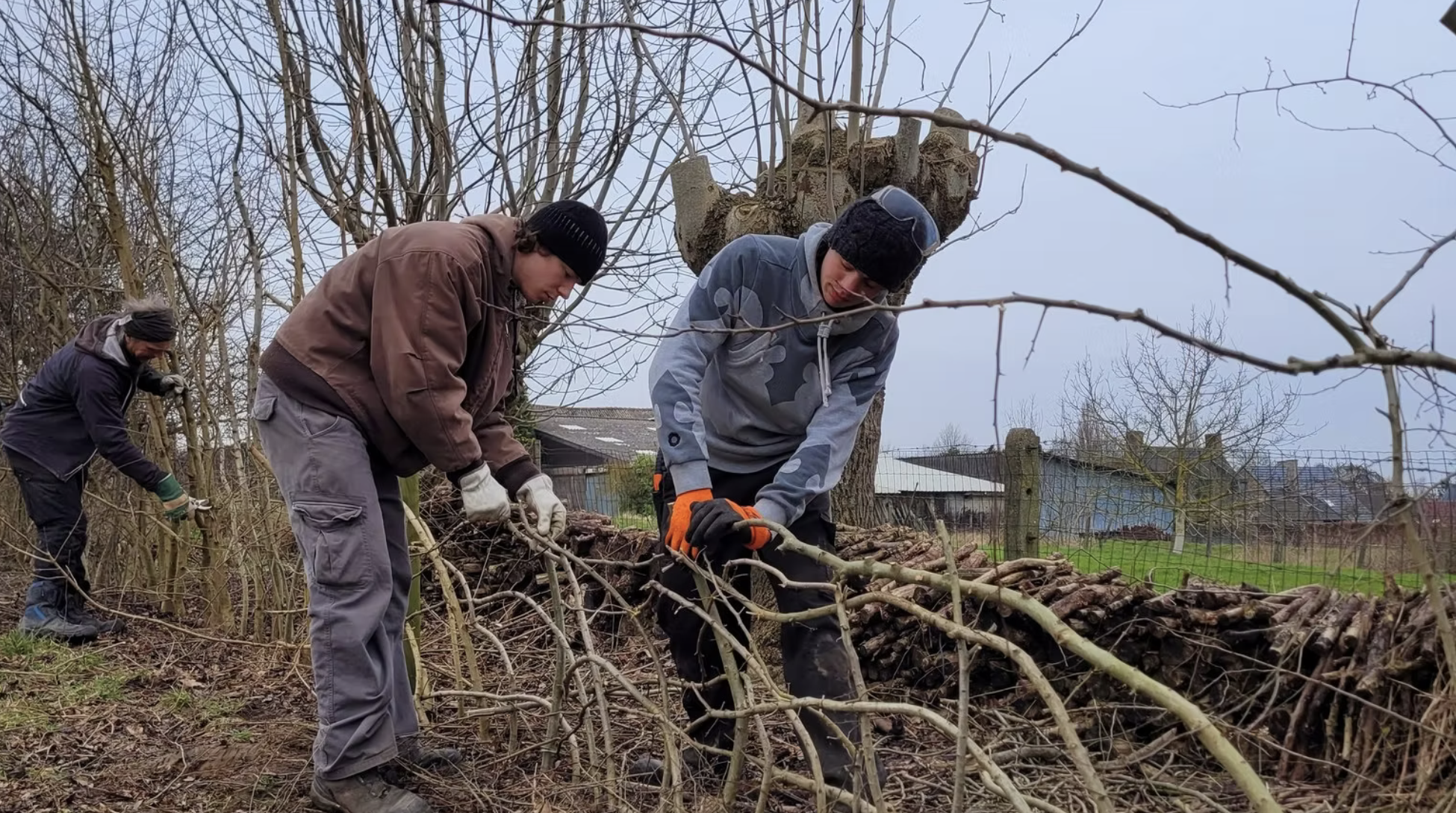 Kunst van het Haagdichten 