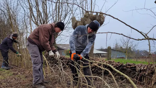 Kunst van het Haagdichten