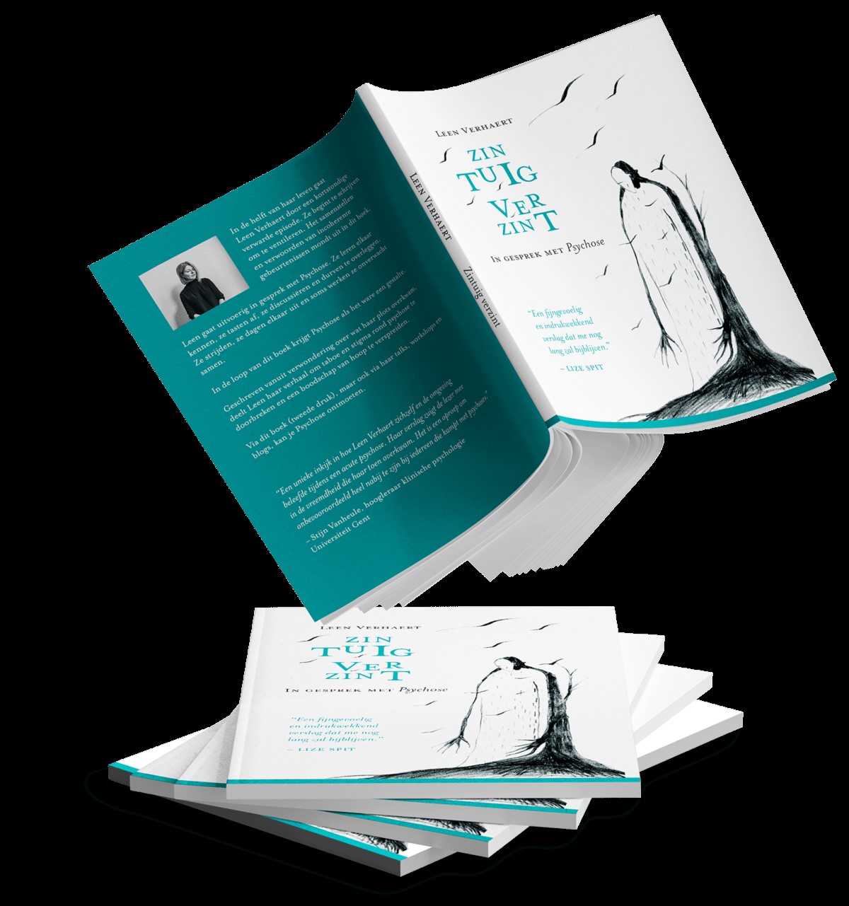 boekcover Zintuig verzint