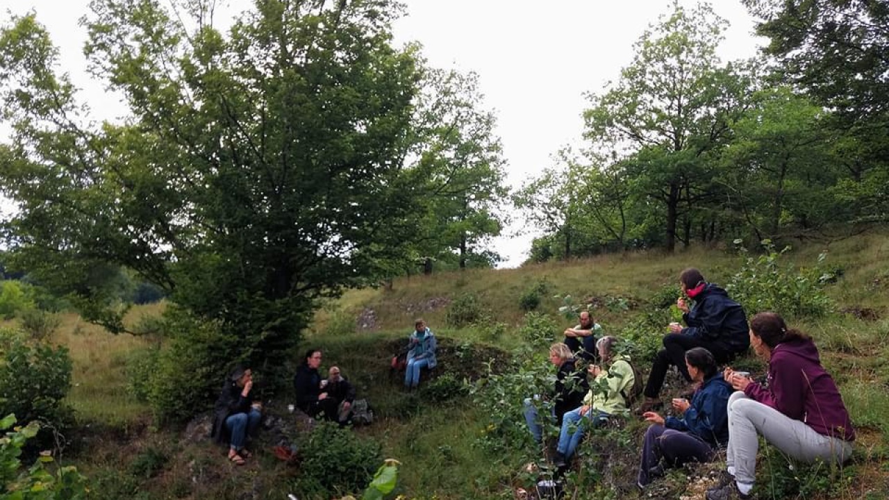 2025-10-18 shinrin yoku c-Marijke Bastiaens.jpg