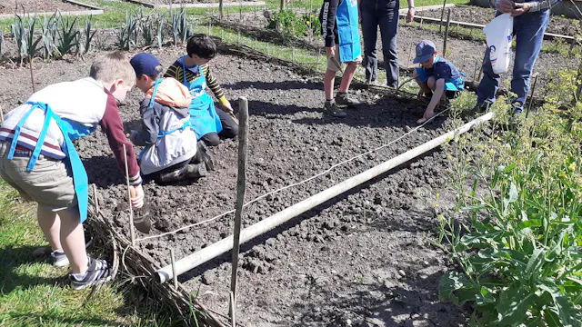 kinderen in de moestuin