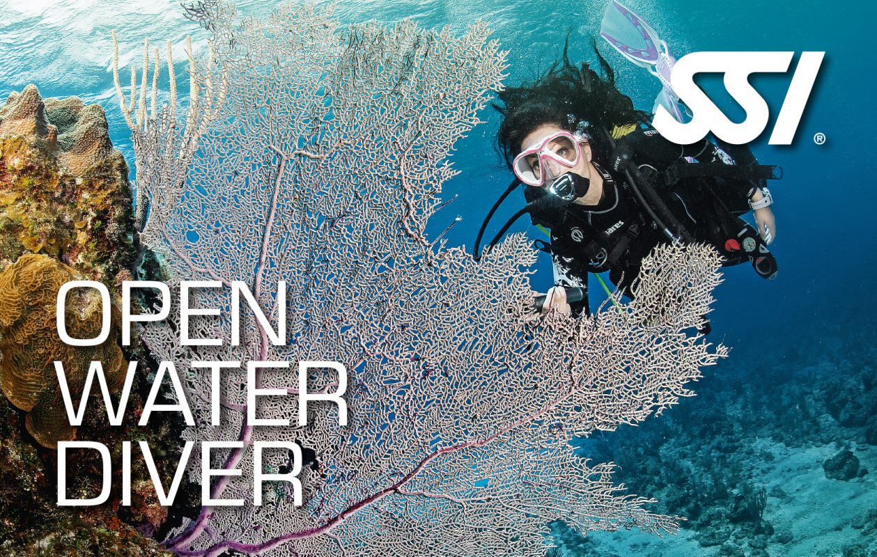 Brevet Open Water Diver