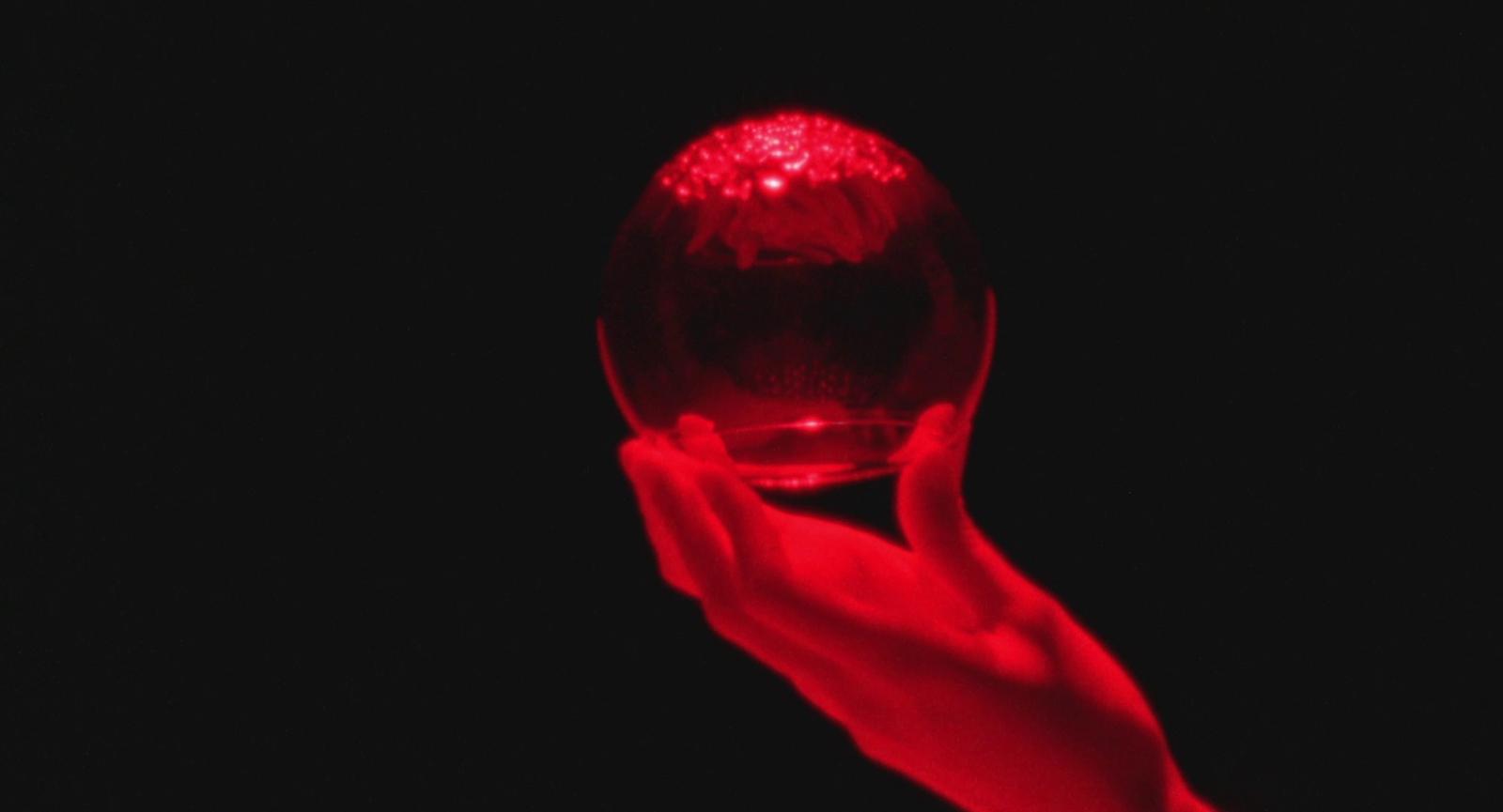 Kortfilms van Le Fresnoy  Studio national