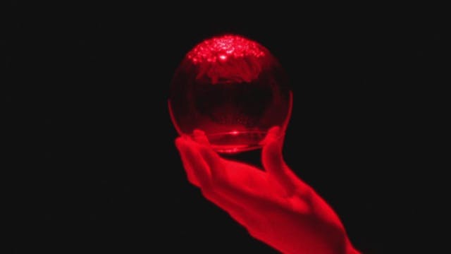 Kortfilms van Le Fresnoy Studio national