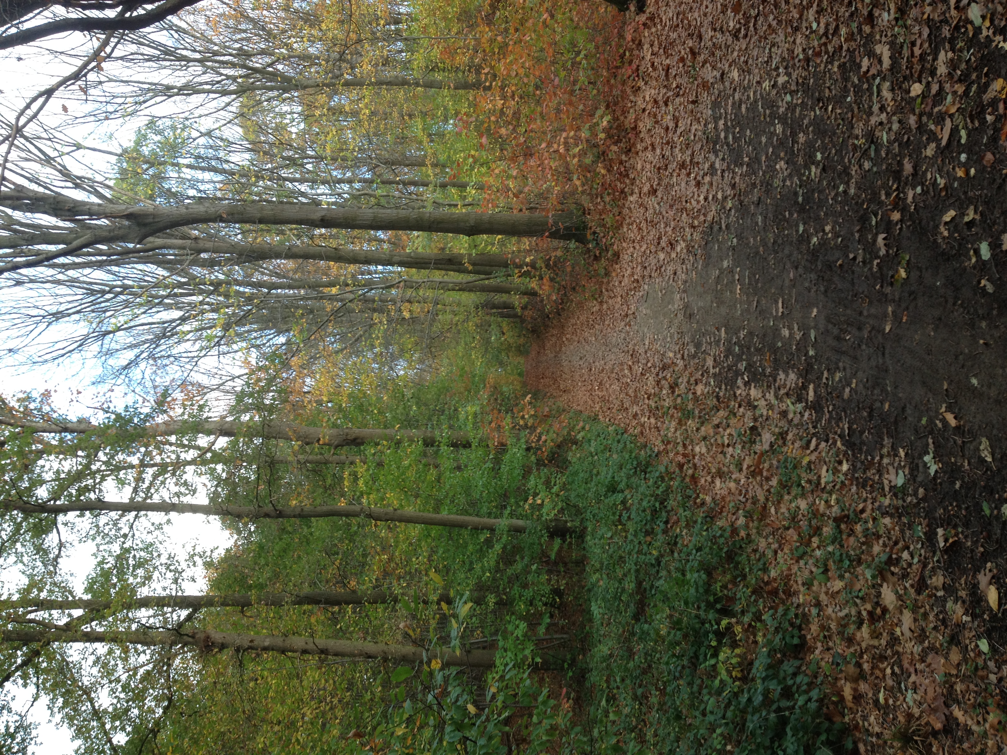 Vloethemveld is een rijk natuurgebied met heide, schrale graslanden, flora en fauna. Militair erfgoed, een oud munitiedepot, en een oud Brits krijgevangenkamp. Na de wandeling biedt Neos een drankje aan in de bistro van abdij Zevenkerken.