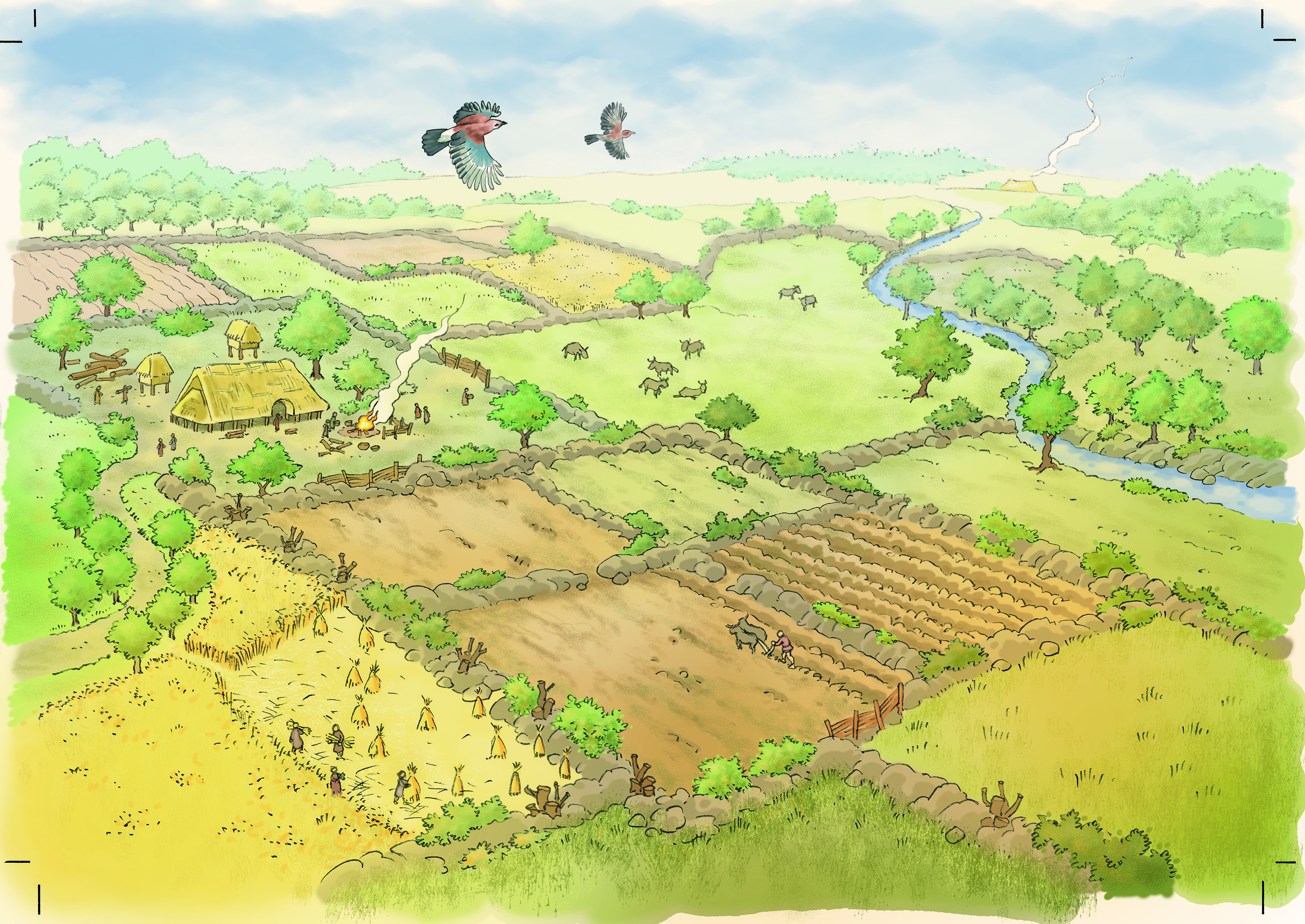 Erfgoed sporen in het landschap