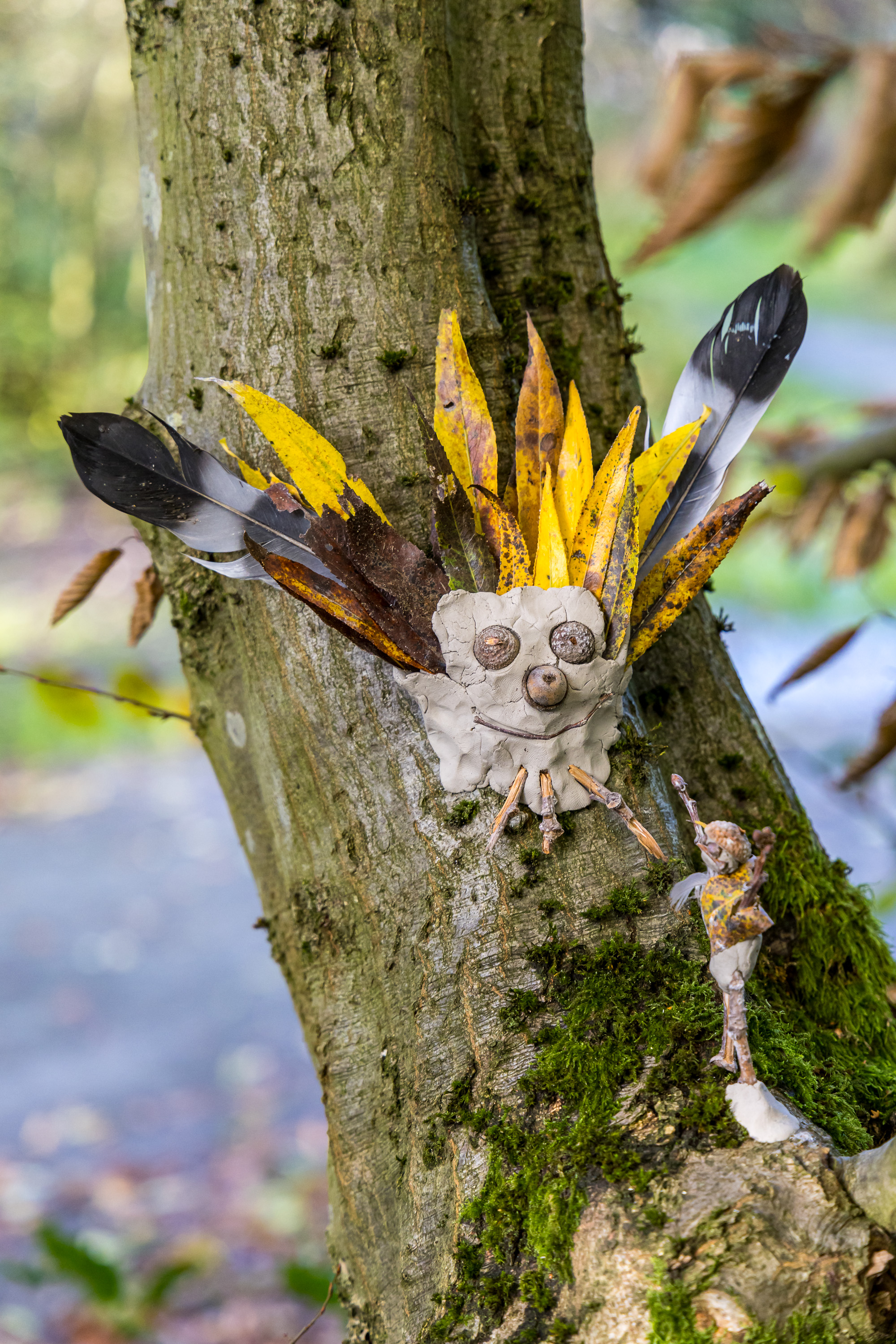 Kleigezichtje op boomstam. 