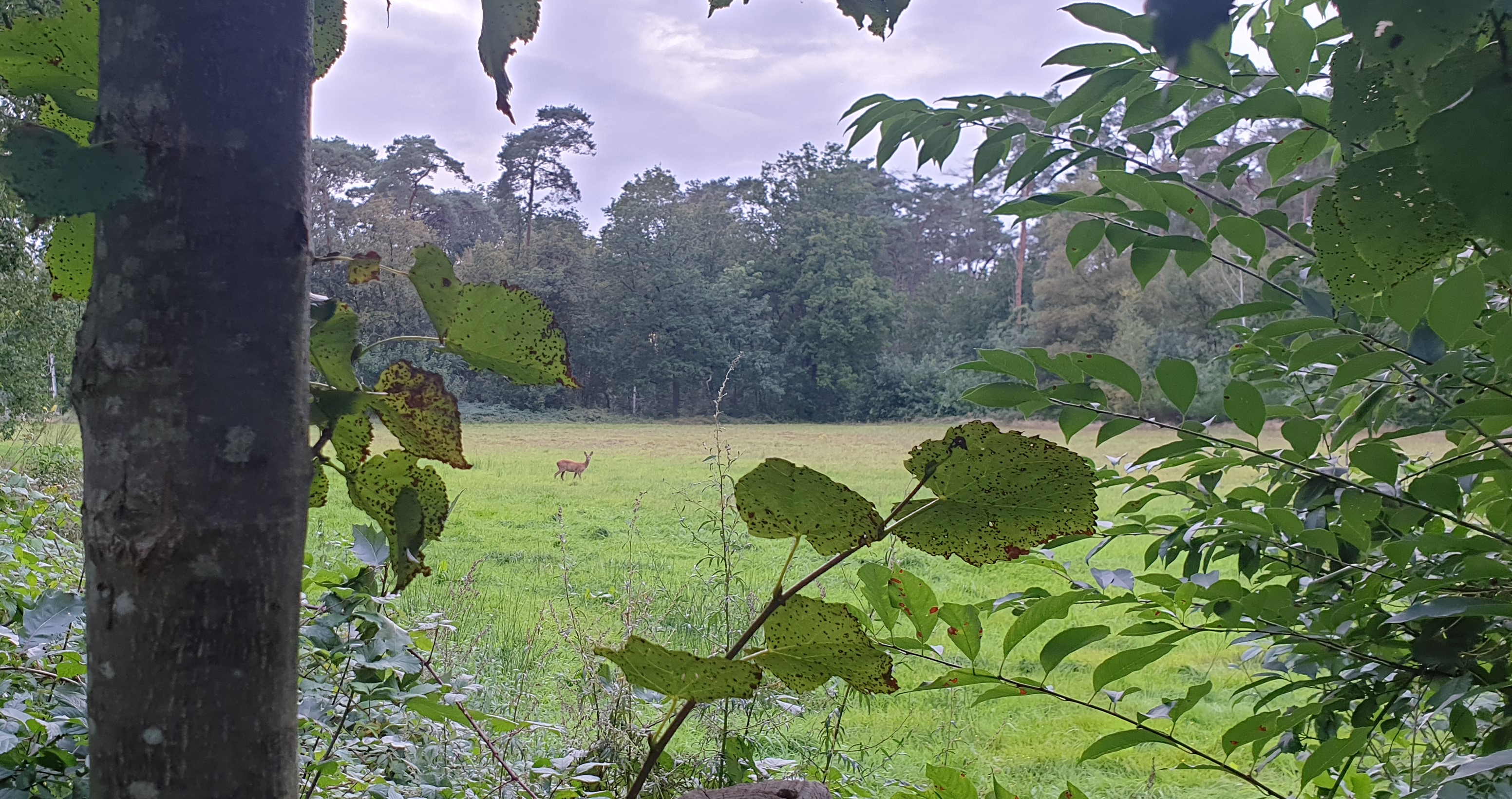 Meiklokjestocht Zandstappers