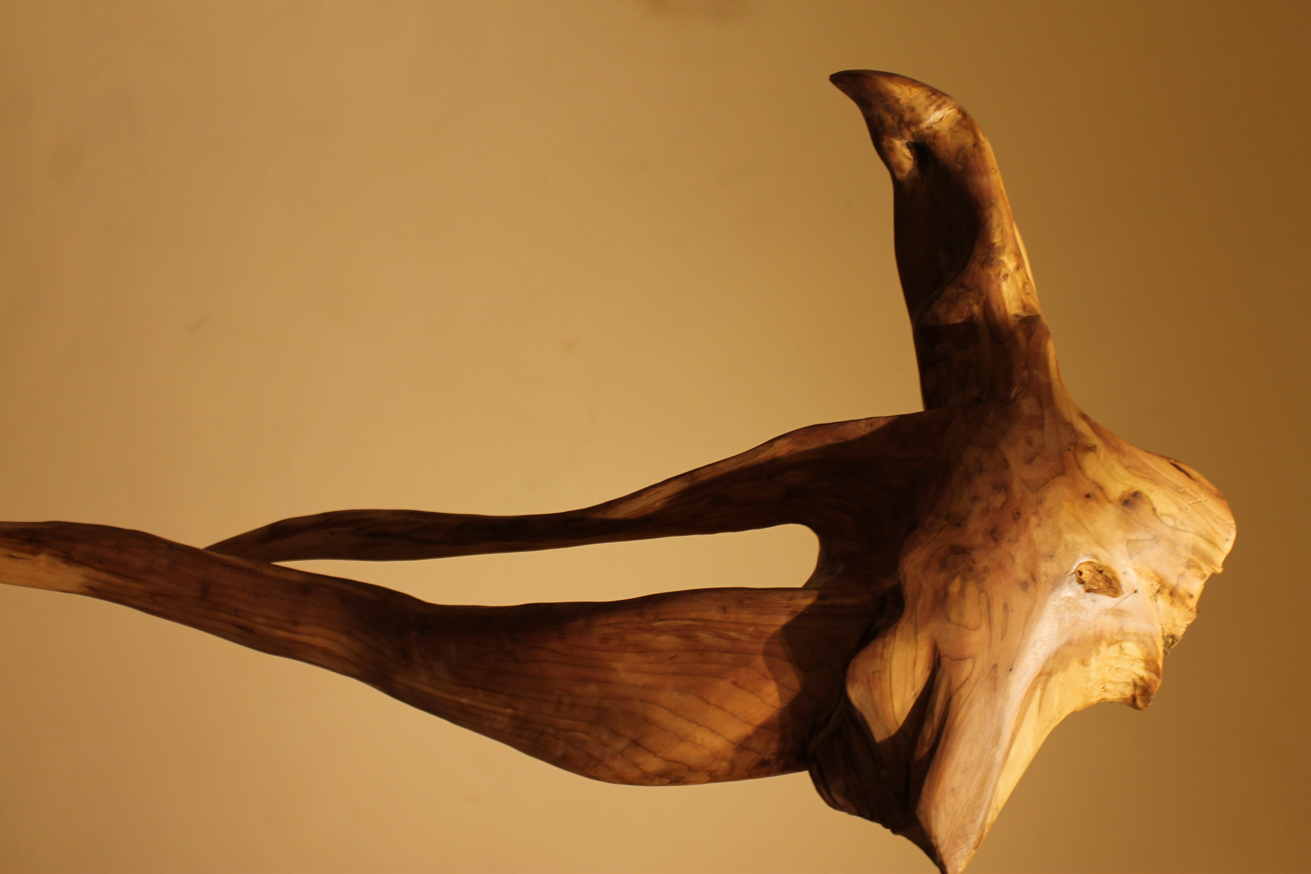 Sculptuur hout Martiene Stevens
