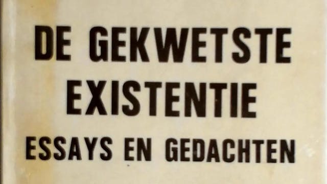 Cover 'de gekwetste existentie'