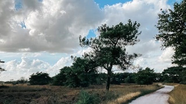 de Regte Heide