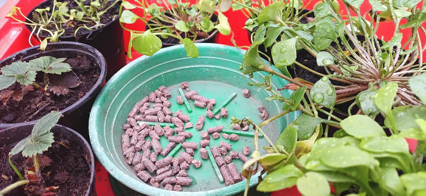 Bemesten met organische korrelmeststof