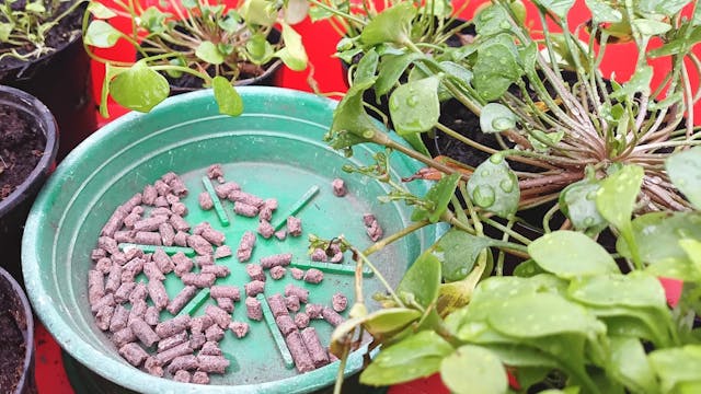 Bemesten met organische korrelmeststof