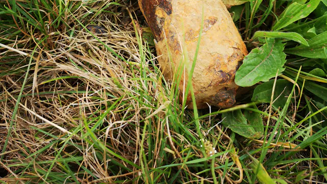 Achtergelaten munitie in de Westhoek