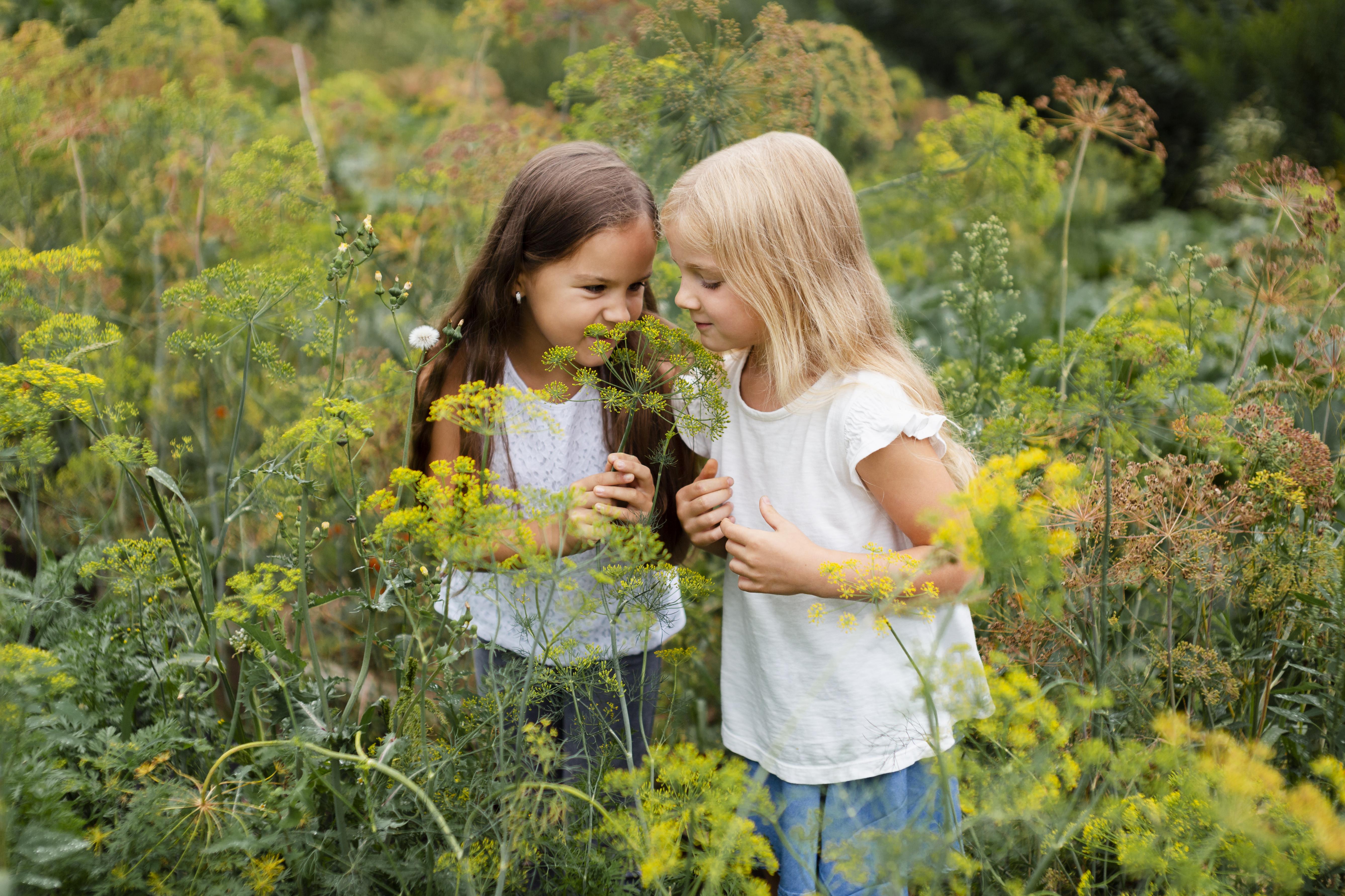 Kinderen ruiken aan een bloem