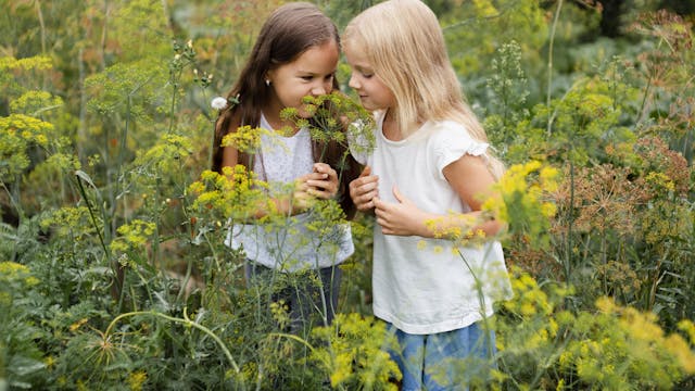 Kinderen ruiken aan een bloem
