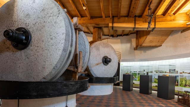 Kollergang Briekenmolen