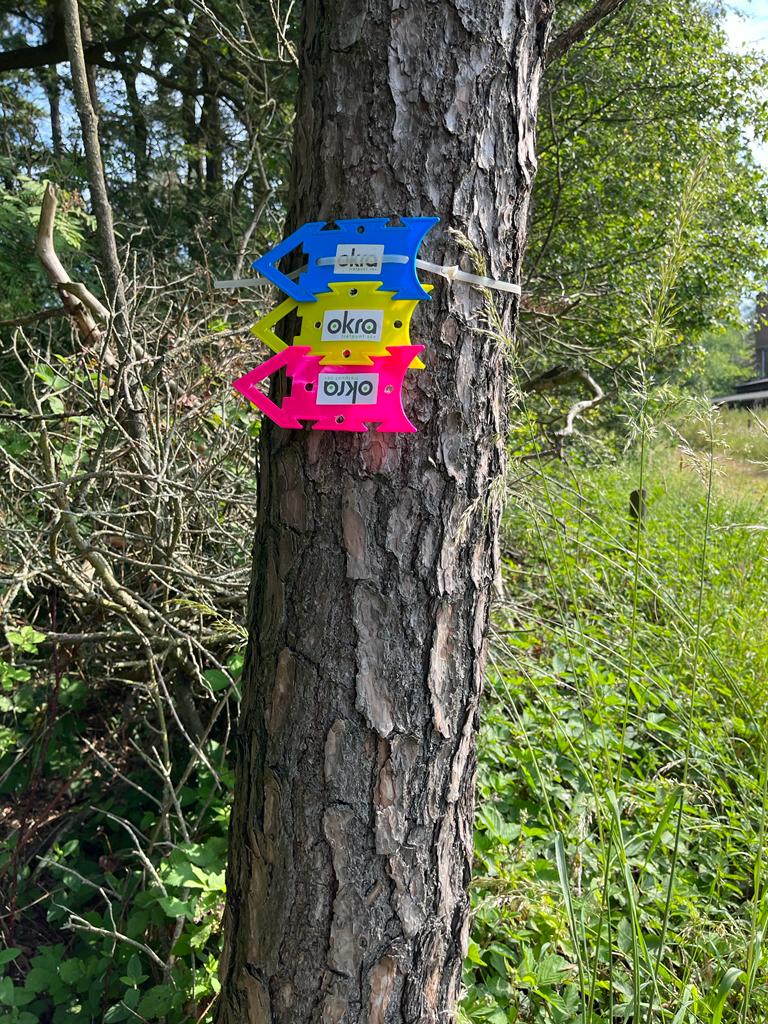 Grotenhout wandeling