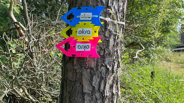 Grotenhout wandeling