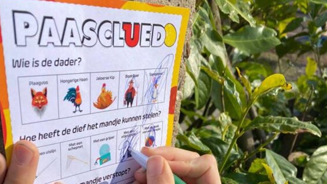 Image for gzbd activity