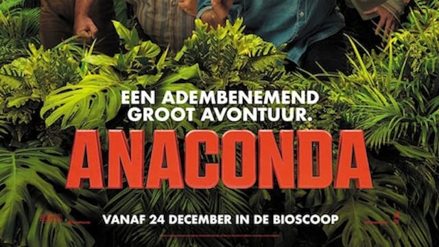 Anaconda