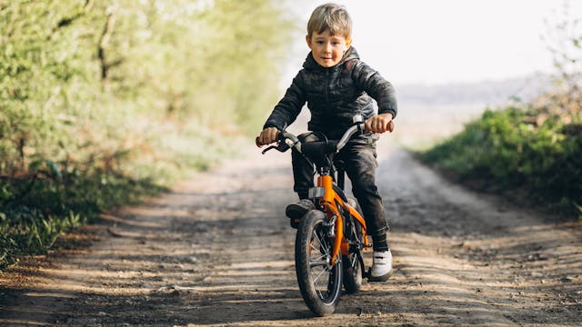Fietsbieb Merksplas