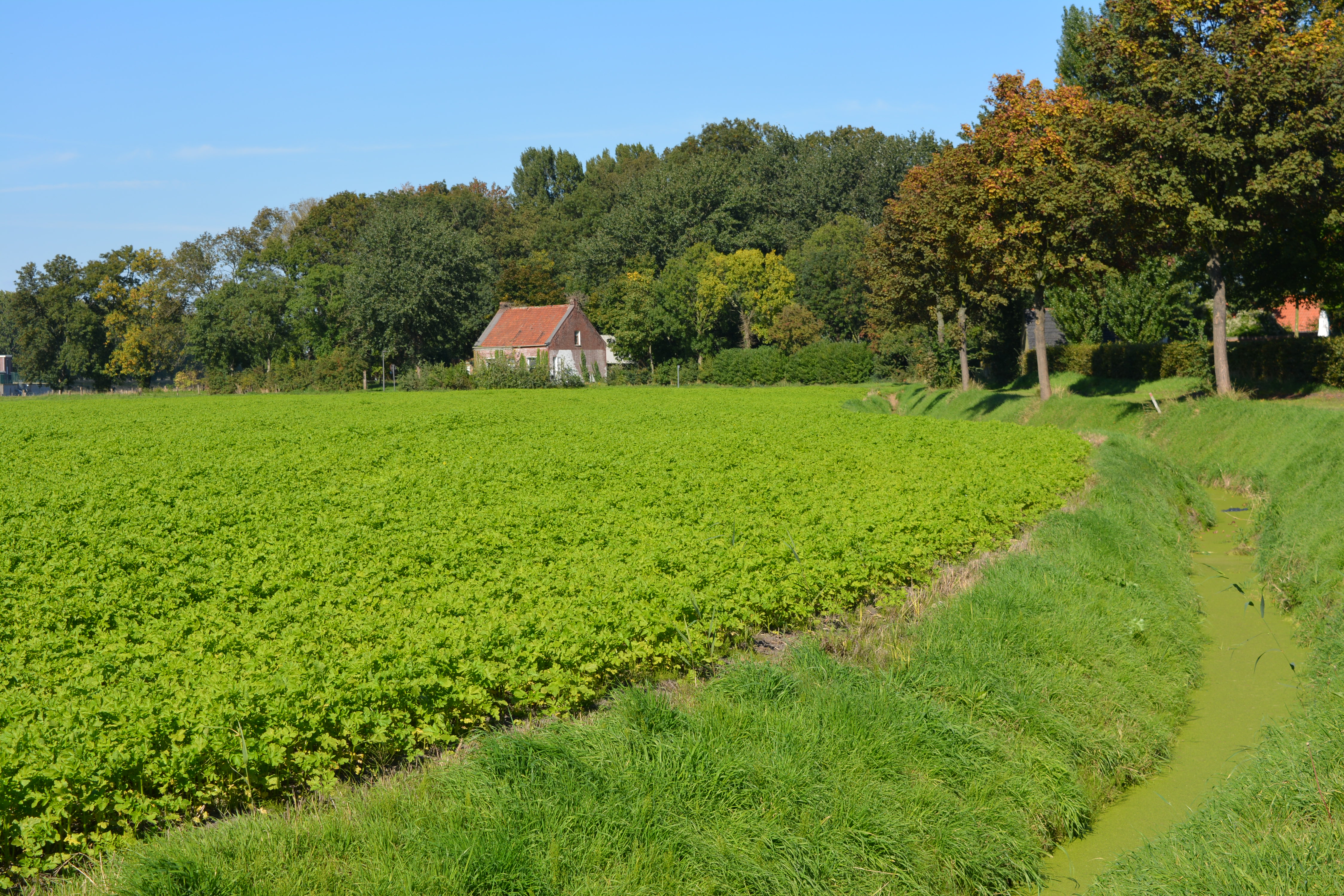 Zoutedijk _ landschapsrelicten