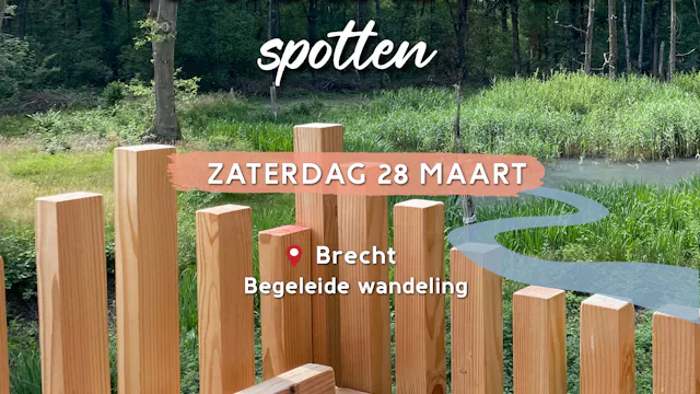 Waterleven spotten in de Kooldries