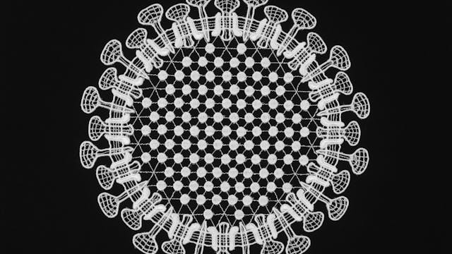 Laura Splan — Disentanglement, 2021