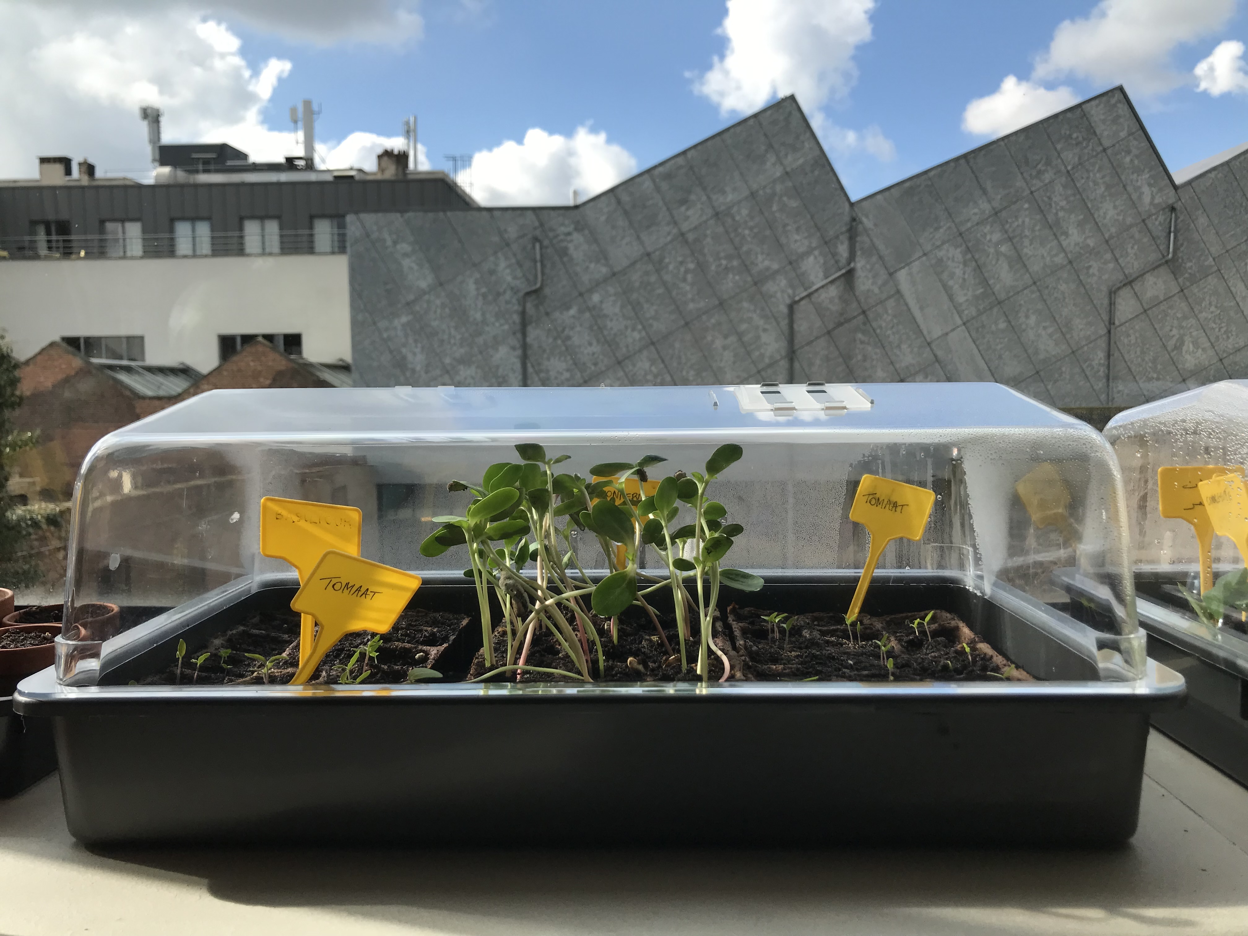 De tuin van bib Permeke