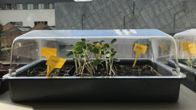 De tuin van bib Permeke