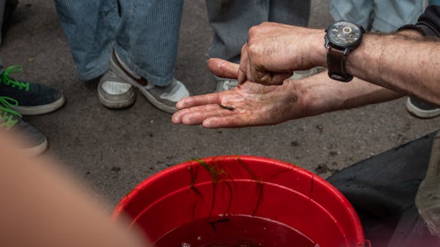 Wat leeft er onder water?