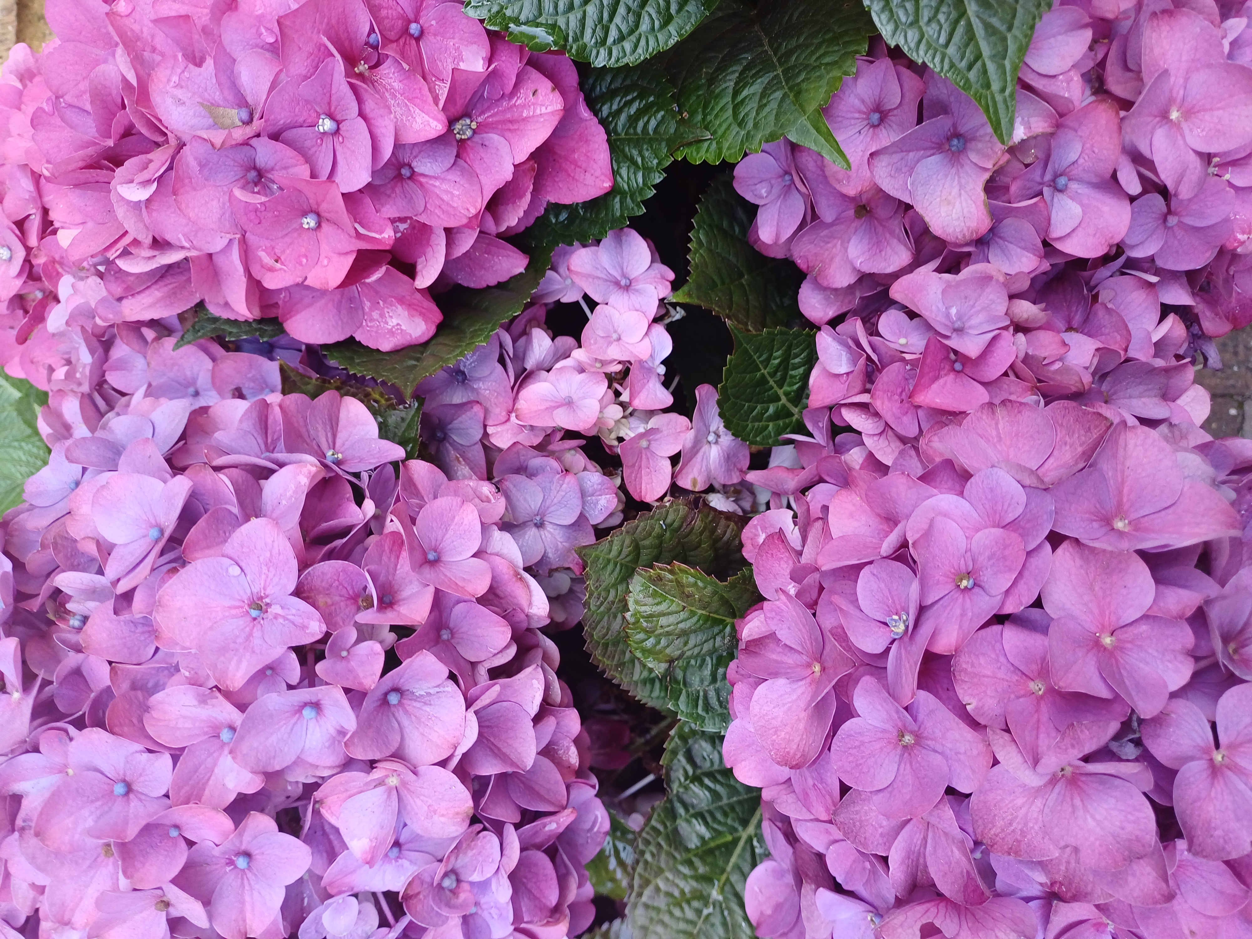 Meditatief collages maken