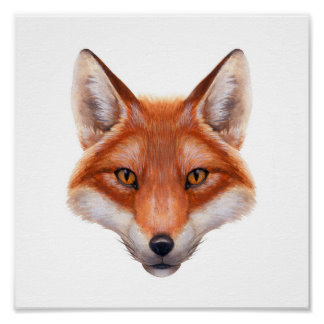 De Vos Reynaerde te kijk gezet in 64 boekbanden