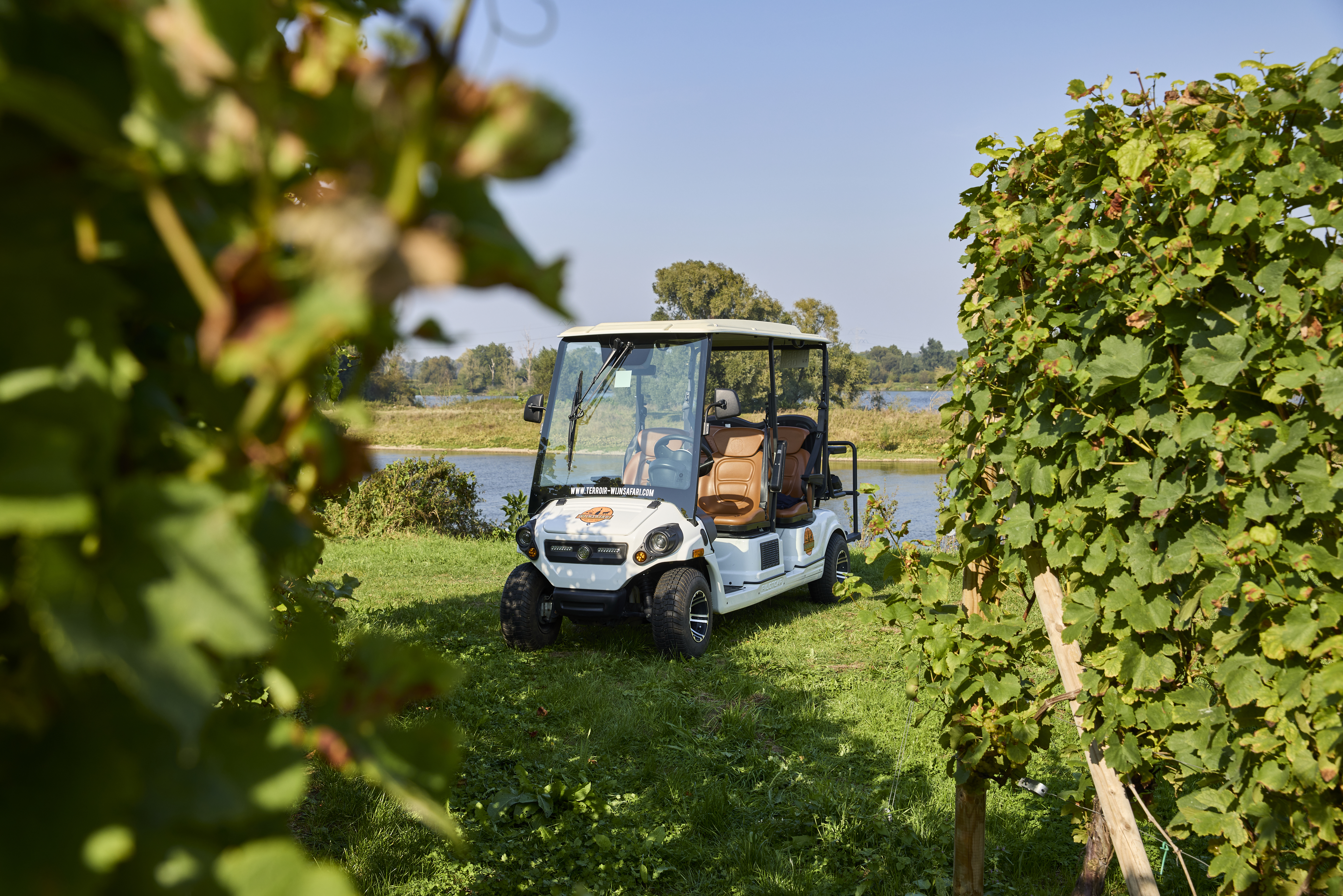 Terroir Wijnsafari Maasvallei