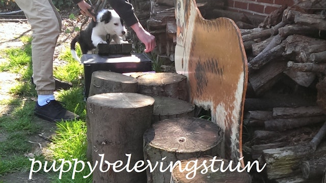 puppybelevingstuin