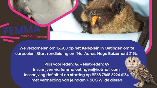 sos WILDE DIEREN
