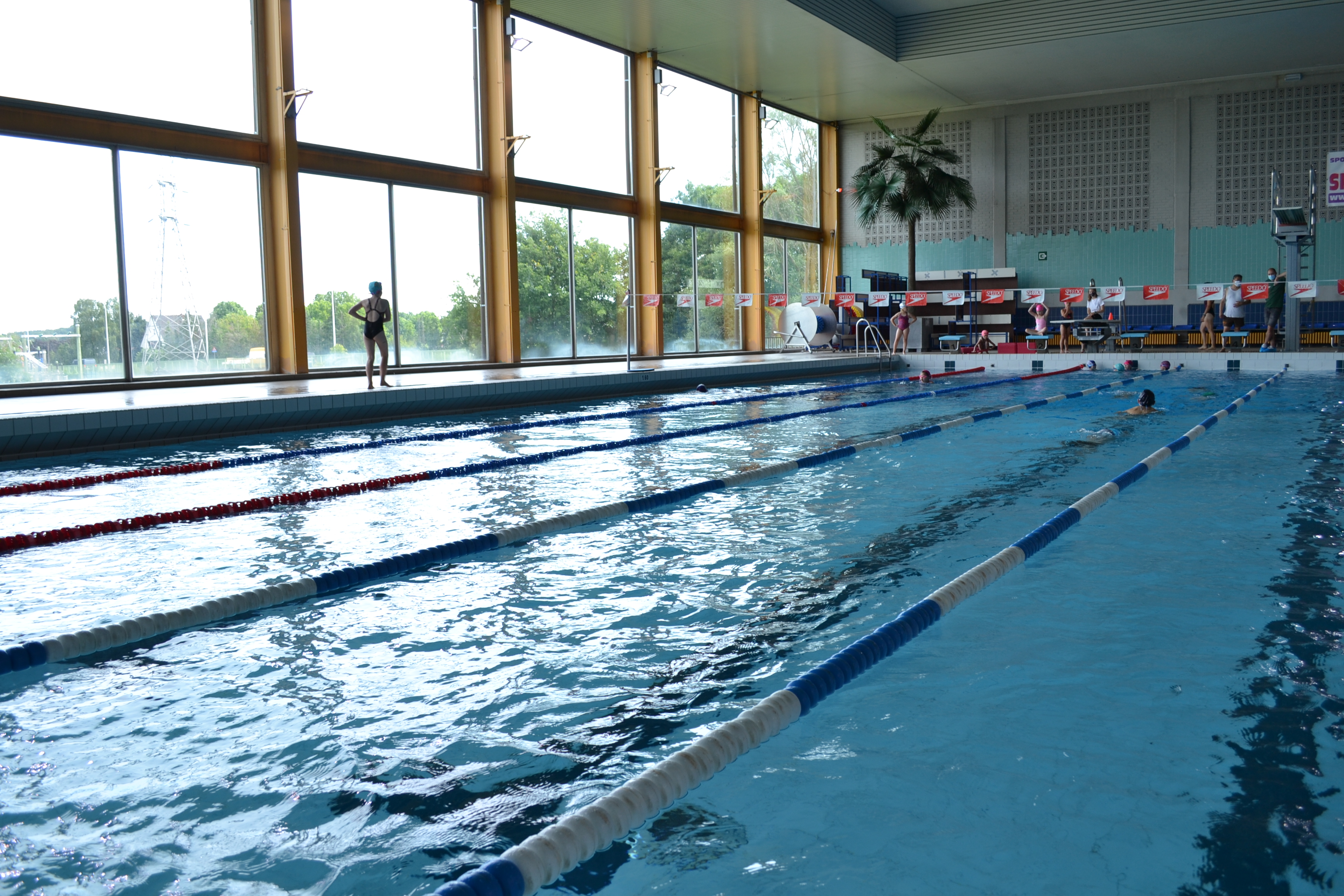 Sportkamp zwemmen vervolmaking