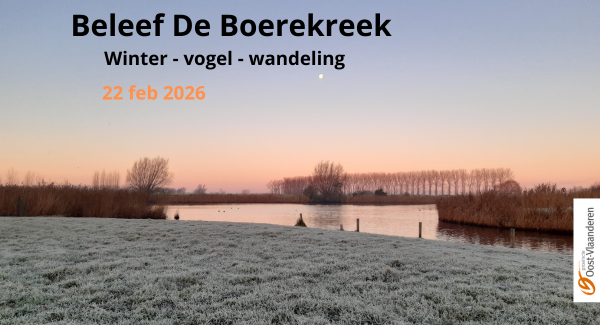 Winter-vogel-wandeling